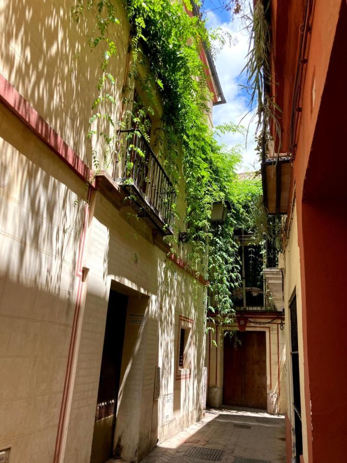 Acogedor Apt 8Pax 4Bdr 2Bth - Cozyhomesevilla1 Eksteriør billede